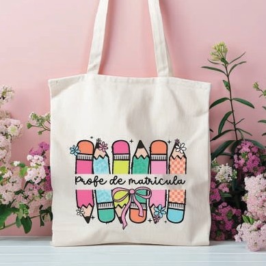 Bolsa matrícula de honor para profesora